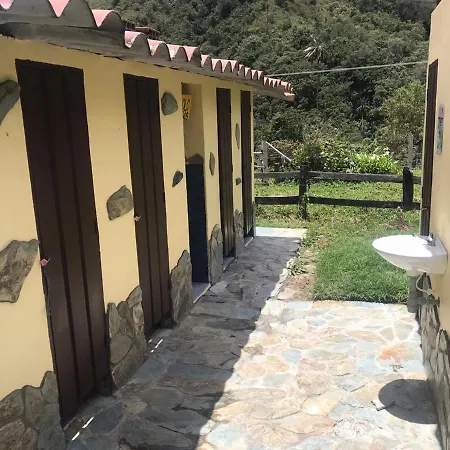 Refugio Nidos Del Condor Cocora Salento Exterior photo