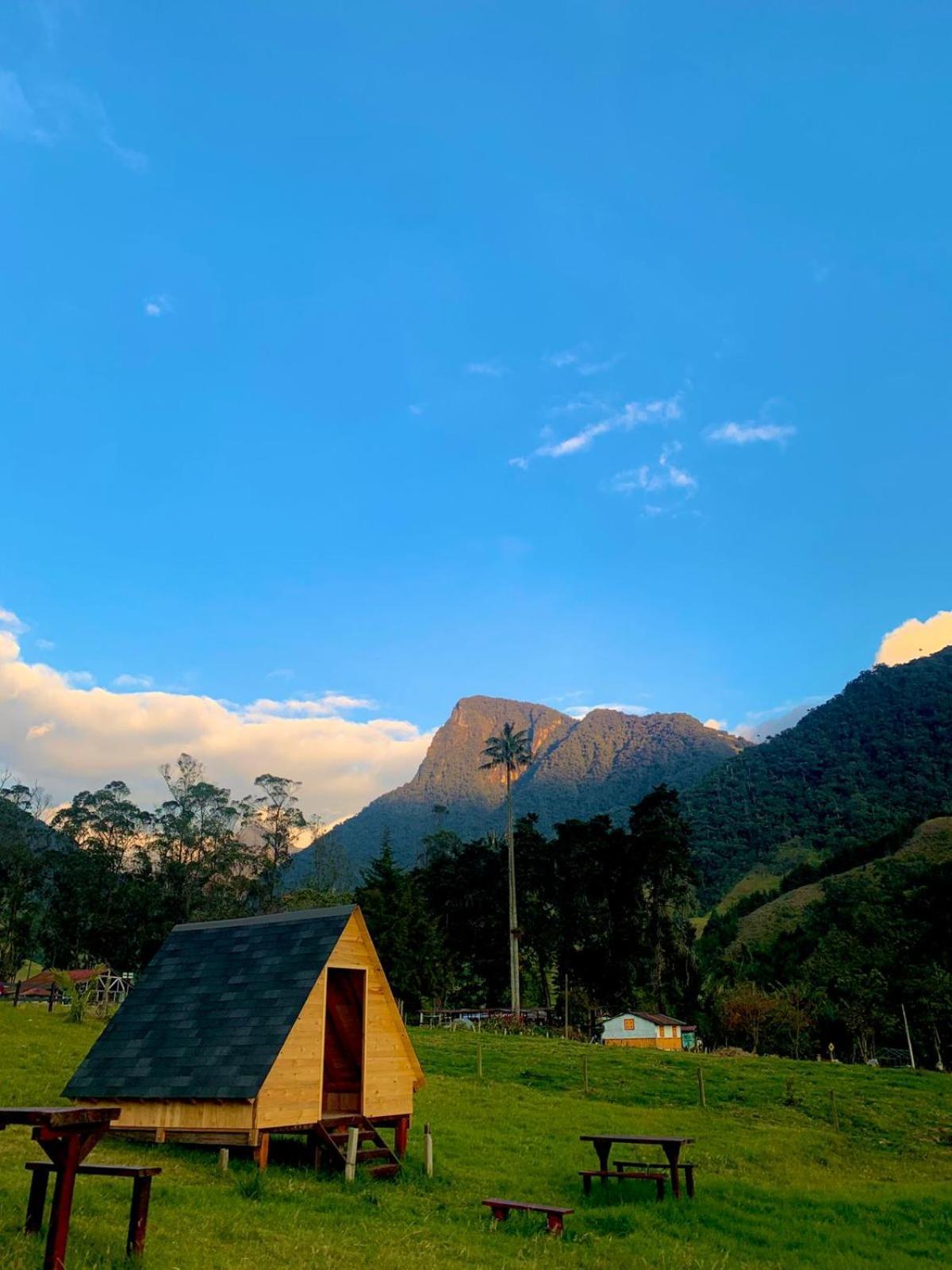 Luxury tent Refugio Nidos Del Condor Cocora